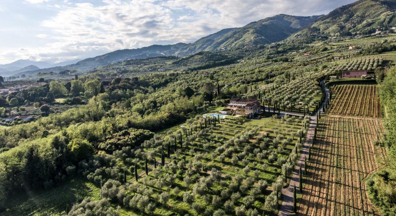 Accogliente Alloggio Con Vista E Piscina Lucca Dış mekan fotoğraf